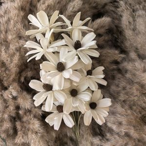Épissage Melon <span class=keywords><strong>Graine</strong></span> <span class=keywords><strong>Fleur</strong></span> Usine En Gros Graines <span class=keywords><strong>De</strong></span> <span class=keywords><strong>Tournesol</strong></span> Plantation <span class=keywords><strong>Fleur</strong></span> <span class=keywords><strong>Fleur</strong></span> Sec <span class=keywords><strong>Fleur</strong></span> Cadeau pour La Maison/Arrangement <span class=keywords><strong>De</strong></span> Mariage - Product Image 4