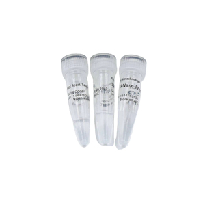 Polimerasa de ADN Taq de arranque en caliente, alta calidad para uso en investigación - Product Image 1