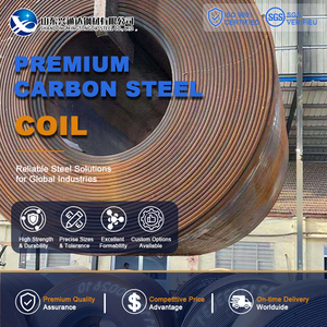 Cutting SPHE Cold Rolled Pickled and Oiled 20mm 1500mm <b>Leveling</b> EN 10025 Carbon Steel Coil for Roofing - Product Image 1