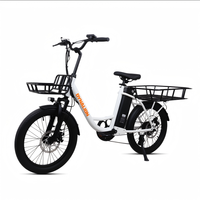 Vélo cargo électrique non pliable à deux roues, 20 pouces, 36V, 250W, double moteur sans balais, pour livraison de nourriture