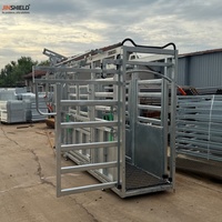 Chute d'encerclement robuste pour bétail à vendre, équipement de retenue du bétail à portillon automatique pour usage agricole