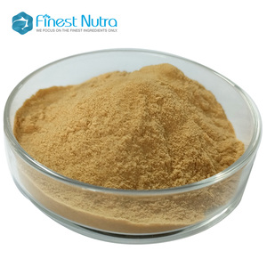 Venta caliente 10%-50% Polisacárido King Oyster Mushroom Extract Pleurotus <span class=keywords><strong>Eryngii</strong></span> Extract Powder - Product Image 4