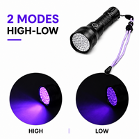 Lampe torche UV rechargeable 395nm, chargement USB-C, en alliage d'aluminium, haute luminosité, pour détection d'urine d'animaux, de fuites de billets et de scorpions