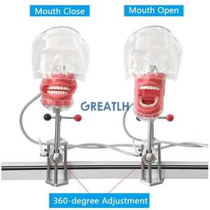 Simulatore di fantasma dentale del modello del simulatore della testa fantasma del manichino del supporto da tavolo dentale per istruzione del dentista - Product Image 6