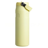Botella de agua al vacío de acero inoxidable transfronteriza de 24oz al por mayor 304 Material a prueba de fugas con asa Big Mac Car Cup
