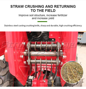 Mini cosechadora de maíz de la mejor calidad del precio cosechadora de maíz dulce a la venta cosechadora combinada de maíz - Product Image 5