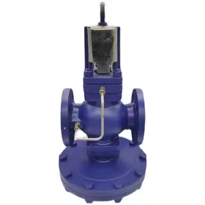 China best company of DP 17 steam reducing valve