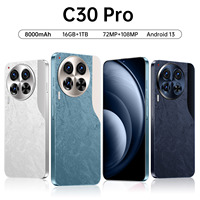 Téléphone C30 Pro Surveyor 5G 8000 mAh Écran 7,3 Pouces Caméra IA 108 MP 16 Go+1 To Double SIM+TF Mesure Laser Déverrouillage Facial Cadre Métallique Android 14