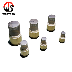 Guter Preis S.S Feder Vertikales Edelstahl filters ieb Rückschlag ventile Messing Wasserpumpe Sieb Boden fuß ventil - Product Image 4