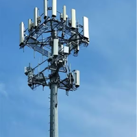 Tour monopôle autoportante pour la communication sans fil