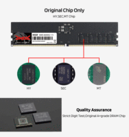 High Quality Golden Memory DDR5 ECC RAM 16GB/32GB 4800-5600MHz Desktop Stock