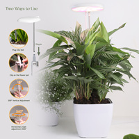 Lampu Tanam LED Indoor Desain Pinggir Pot Persegi 10W 3500K Peredup 5 Tingkat Timer Terintegrasi Ramah Lingkungan Bloom OEM ODM