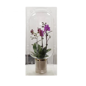 Pots de fleurs en plastique PET recyclé Semis de fleurs Plantes vivantes Bonsaï Transport Boîte de protection - Product Image 1