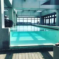 Piscine infini en verre plélii de bonne qualité, pataugeoire en acrylique, très transparent, panneau avec livraison gratuite, nouvelle collection 100%