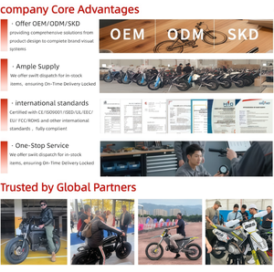 Motocicleta Todoterreno GX-CQR-PR300(4V) de 23 HP | Motor monocilíndrico de 4 tiempos refrigerado por aire (con eje de balance) | 4 válvulas - Product Image 6