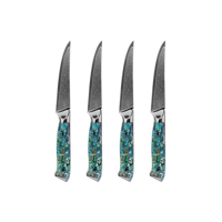 Grande Promotion: Ensembles de Couteaux de Chef avec Manche en Résine Coque, Couteaux de Cuisine en Acier Damassé