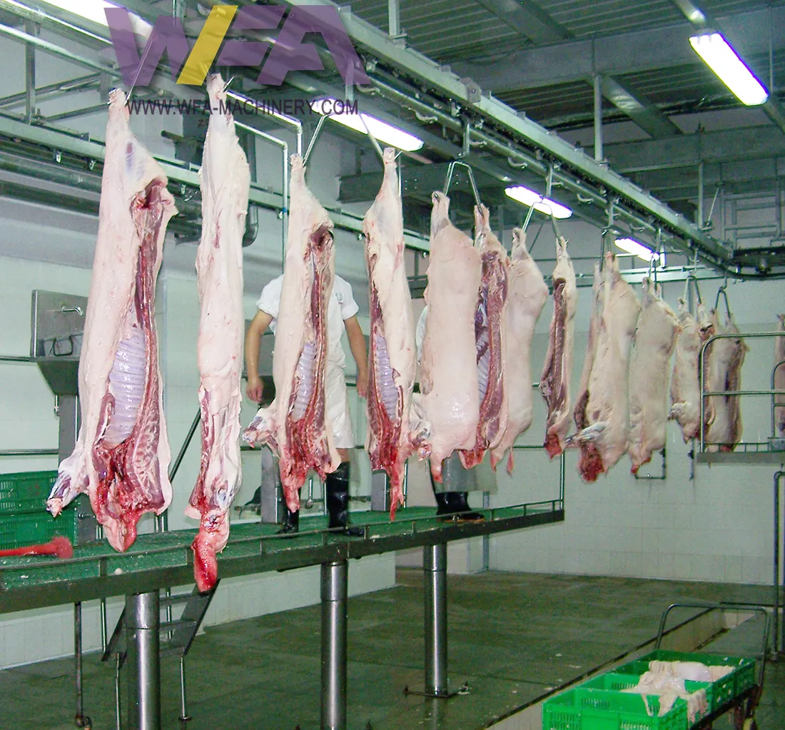 Schlachthof verkauf Schweines ch lacht ausrüstung Komplette Fleisch verarbeitung maschine für Schlachthof maschinen hersteller