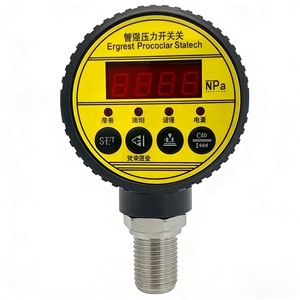 Controlador Digital Inteligente, Interruptor Electrónico, Equipo de Suministro y Drenaje de Bomba de Agua Hidráulica y Neumática - Product Image 4