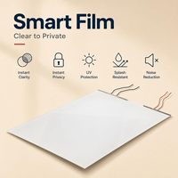 Film PDLC 60V pour fenêtre de salle de bain, auto-adhésif thermique, décoratif moderne pour appartement et maison