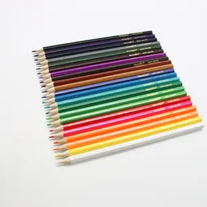 Großhandel individuelle Verpackung LOGO Prisma-farbe dickes farbiges Bleistift-Set Künstler Skizzierung und professionelle Zeichenschule
