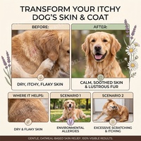 Shampoo pour chiens à peau sensible, à l'avoine colloïdale et aux céramides, réparation de la barrière cutanée, apaisant pour les peaux irritées, 300 ml, marque privée