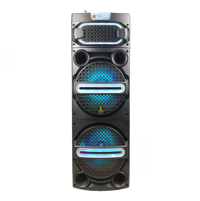 Dual 12 Inch Professional Outdoor DJ Speaker Powerful Portable Battery Powered Colorful Lights USB Interface Subwoofer Included