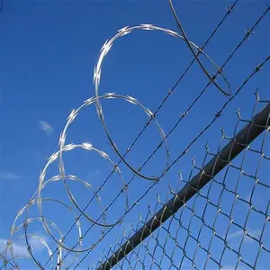 Razor Wire Pictures, Images and Stock Photos