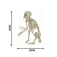 Figurine squelette de singe articulée d'Halloween, modèle d'os de primate flexible, accessoire effrayant pour décoration de cimetière, jardin ou maison hantée