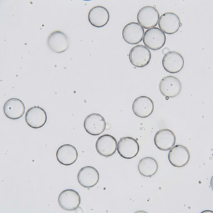 Microesferas de PS no funcionales, perlas de poliestireno crudo para investigación de chips microfluídicos y pruebas de simulación en laboratorio, tamaño personalizado - Product Image 1