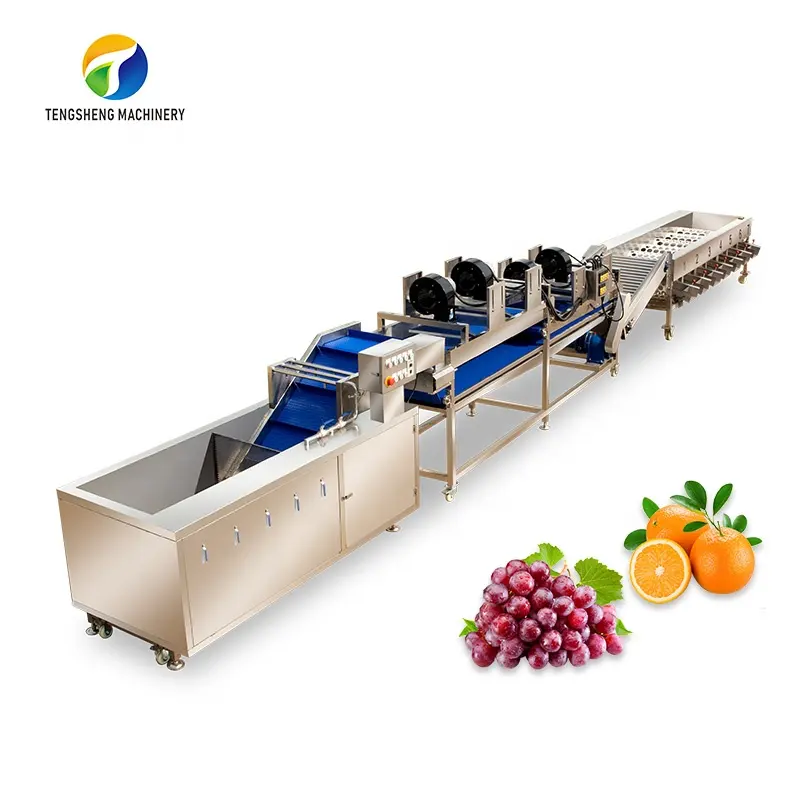 الفاكهة الصناعية و تنظيف الخضروات و الهواء التجفيف الفرز خط إنتاج معدات تجهيز الطعام