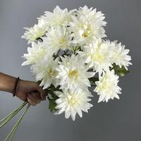 3 Tangkai Bunga Epiphyllum Sutra Buatan Gaya Kuno Dekorasi Latar Belakang Fotografi Pernikahan Luar Ruangan 50 Pcs Tinggi