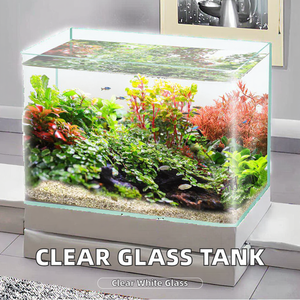 Acquario in Vetro Super Bianco di Lusso, Piccolo Acquario da Scrivania ad Angolo, Ecologico, <span class=keywords><strong>per</strong></span> <span class=keywords><strong>Tartarughe</strong></span>, <span class=keywords><strong>per</strong></span> Soggiorno, Acquario in Scatola - Product Image 2