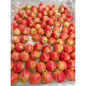 Semi <span class=keywords><strong>di</strong></span> <span class=keywords><strong>Melograno</strong></span> Rosso Rubino Tunisino Raccolto Fresco 2025, Grado 350g+, Arilmi Morbidi e Dolci, Succosi e Deliziosi, Alta Qualità, 15% Brix, Pronti all'Uso - Product Image 1