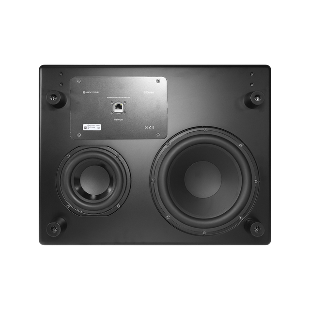 V DSP Subwoofer with Passive Radiator Dante Audio and Flexible Mounting Options Subwoofer