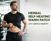 Patch Chauffant Adhésif aux Herbes pour la Prostate, Fabriqué en Chine, Chaleur Douce, Armoise, Gingembre, Safran, Soin Abdominal pour Hommes, Échantillon Gratuit Disponible