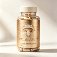 Complément alimentaire en capsules de Crinière de lion avec adaptogène pour la concentration, pour le soutien quotidien des seniors, 90 capsules, 45g, OEM ODM Vente en gros