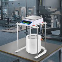 Balance analytique électronique numérique hydrostatique pour bijoux, affichage LCD/LED, acier inoxydable, 0,1 g, OEM/ODM personnalisable
