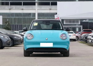Para ORA China Supply, Euler Good Funky EV, 401KM, Precio más Bajo, 5 Puertas, 5 Asientos, Versión Pure - Product Image 4