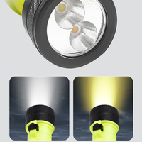 Lampe de plongée sous-marine haute puissance 15W XHP50 IP68 rechargeable par USB, étanche 80m, 1000+ lumens, faisceau large, antidérapante