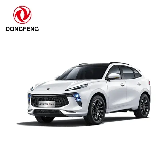 2023 2024 Dongfeng Forthing T5 Evo Hitzewelle 1,5 Td Dct Platinum Edition Benzin Benzin Auto