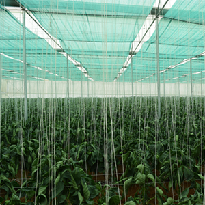 Plantas agrícolas Red <span class=keywords><strong>de</strong></span> sombreado verde 50m rollo <span class=keywords><strong>precio</strong></span> al por mayor - Product Image 6