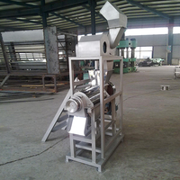 Machine à jus et à broyage automatique à vis pour fruits et légumes facile à utiliser, en vente