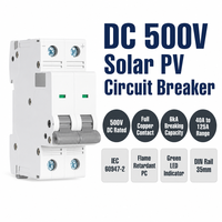 Disjoncteur solaire photovoltaïque Wanbo-515 DC 500V, poignée grise, entièrement en cuivre, 40A 60A 125A 6kA, rail DIN 2P IEC