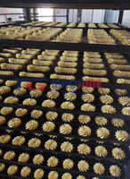 Nouvelle machine à fabriquer des biscuits au prix d'usine 2025, ligne de production de biscuits et de gaufrettes, machine à fabriquer des biscuits