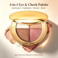 Palette de maquillage visage et yeux tout-en-un multi-usages, minérale pressée, waterproof, longue tenue, avec illuminateur, bronzer et blush
