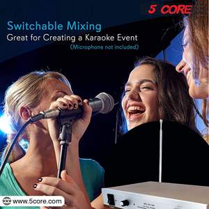 DB 5-Core 2-Channel Wireless <b>Mini</b> Microfono Inalambricos 2-Headset Portable Mic with Receiver WM 301 HH - Product Image 4