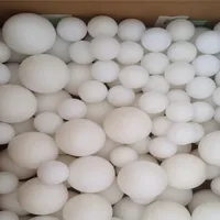 Ball Plastic Custom White Hard Nylon Solid Ball Plastic Ball POM Plastic Wear Ball