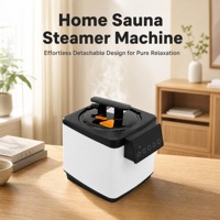 Générateur de vapeur compact 2,6 L pour sauna, machine à vapeur portable pour tente de spa à domicile, générateur de vapeur pour bain domestique