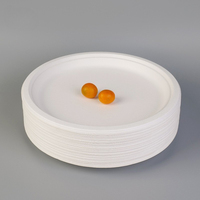 Assiettes en papier jetables biodégradables de qualité alimentaire blanches, extra larges et épaisses pour le barbecue, la viande grillée, les gâteaux, les biscuits, 20,5 cm