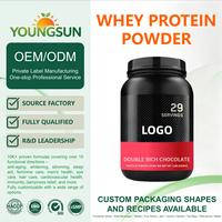 Poudre de Protéine de Lactosérum Avancée Double Richesse Chocolat pour Prise de Masse Musculaire, Soutien à la Force, Absorption Rapide, Énergie, Aminoacides, Adulte, OEM